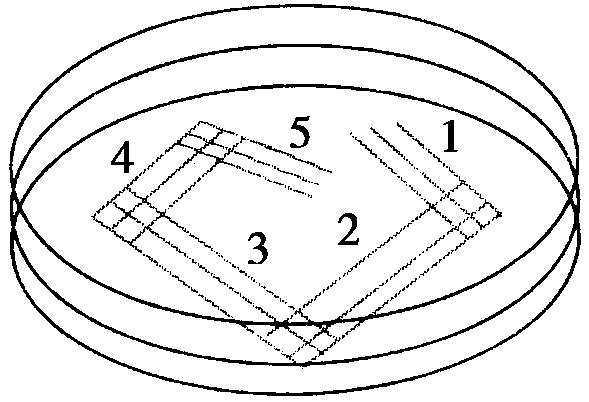 7右图是微生物平板划线示意图划线的顺序为12345