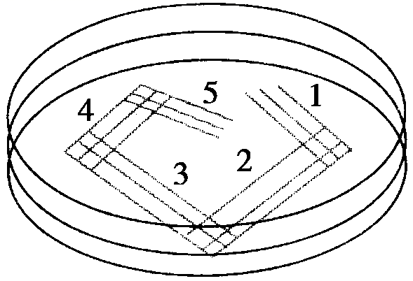 平板划线法示意图图片